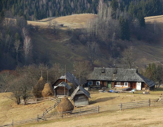 getImage (23).jpg