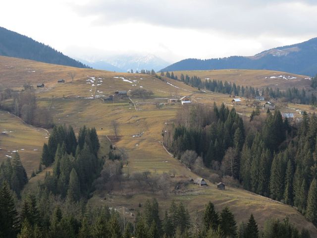 getImage (24).jpg