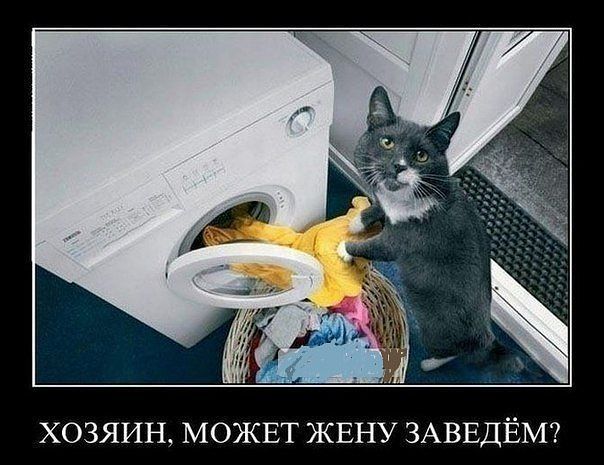 getImage (33).jpg