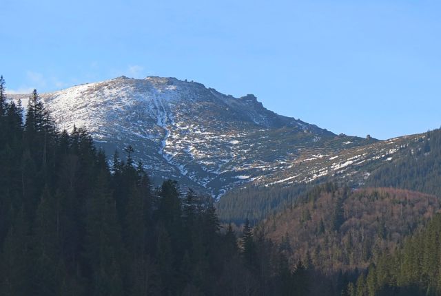 getImage (4).jpg