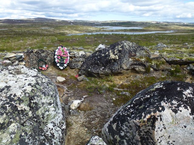 getImage (40).jpg