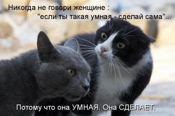 getImage (41).jpg