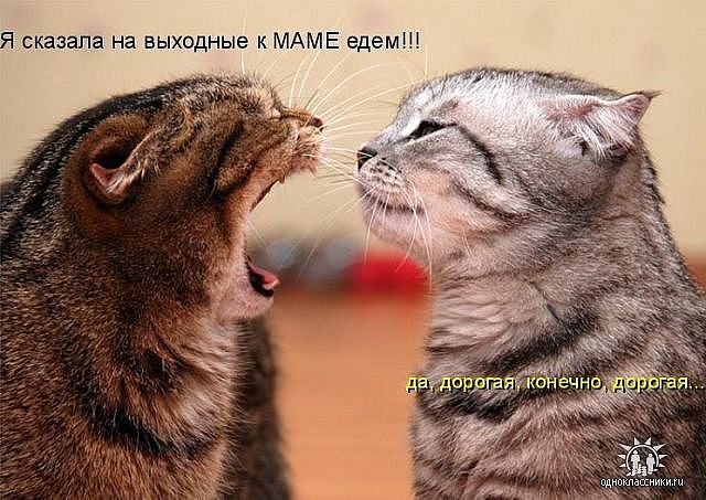 getImage (48).jpg
