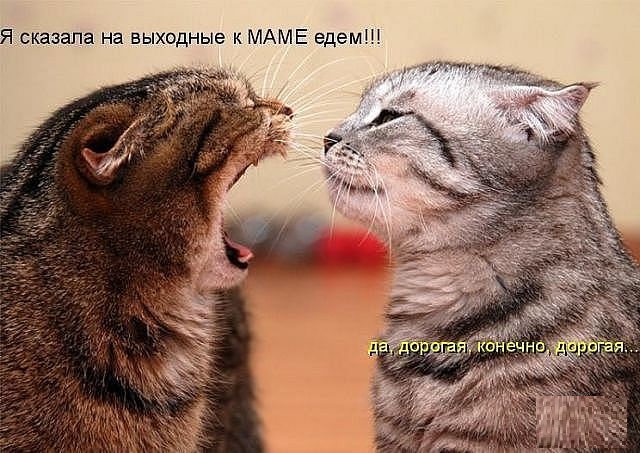 getImage (48).jpg