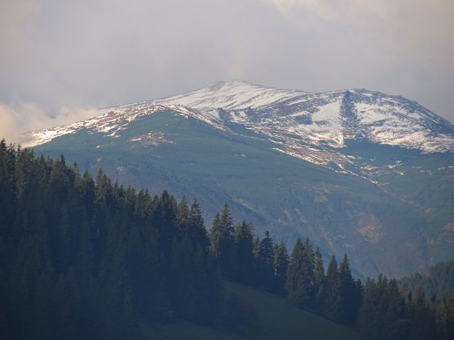 getImage (6).jpg