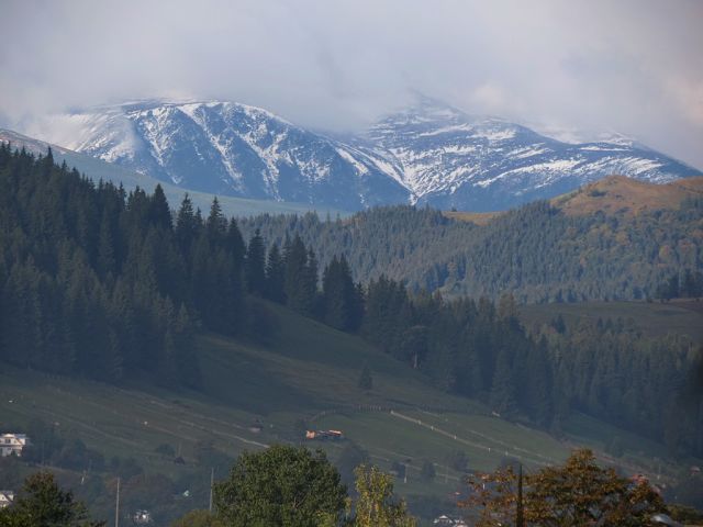 getImage (7).jpg