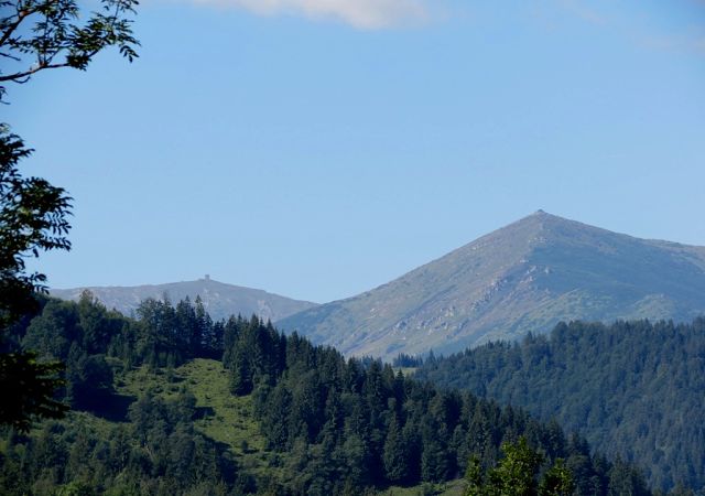 getImage (8).jpg