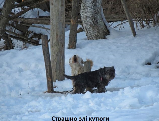 getImage (9).jpg