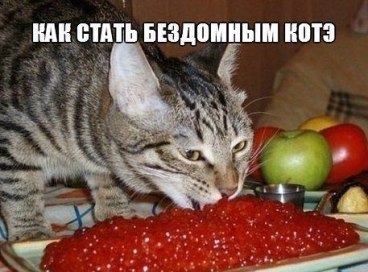 getImage.jpeg