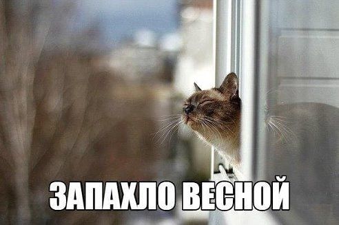 getImage К.jpg