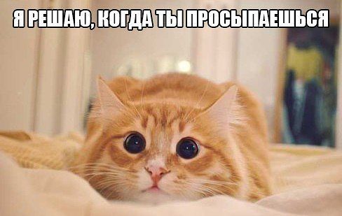 getImageOTQDTEKE.jpg