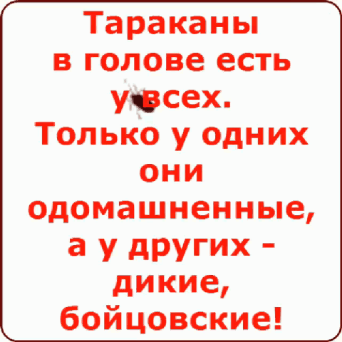 GIF-0e65dbb467d54050359d12b9e2510c26.gif