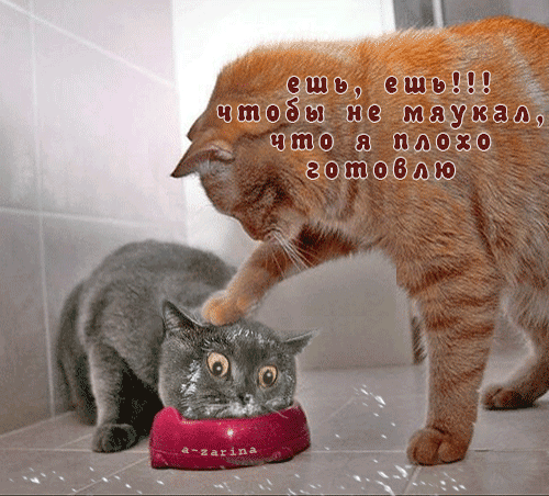 GIF-6722dd9f631f366407dbc8824df76535.gif