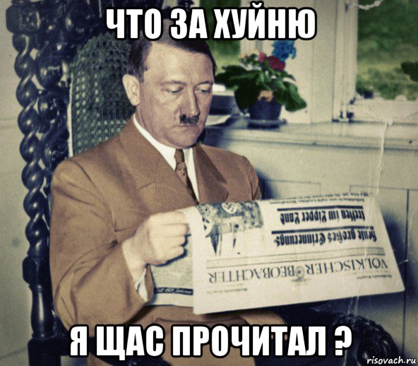 gitler-chitaet_105259265_orig_.jpg
