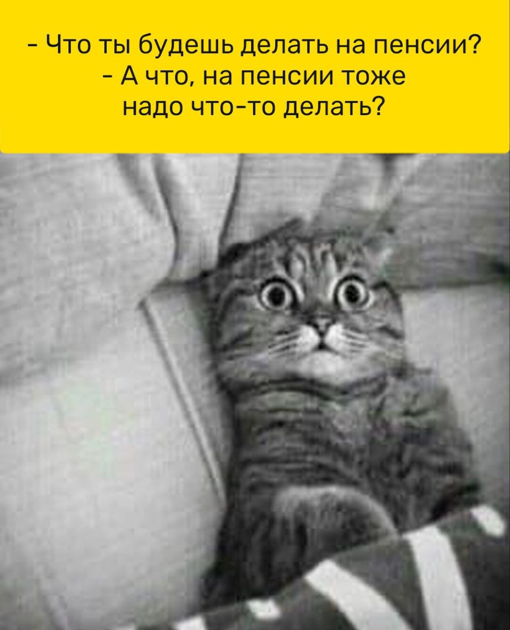 GjH2Y8xXcAAG_V2.jpeg