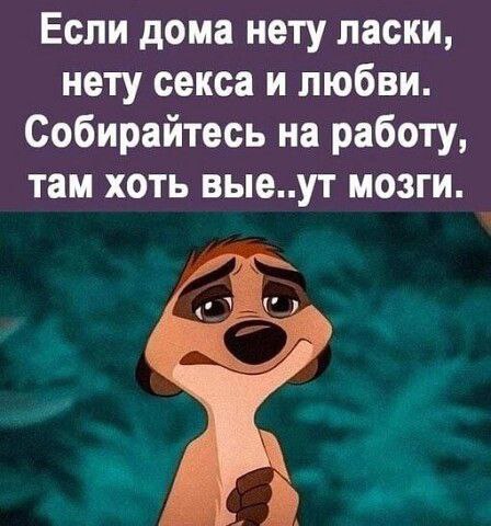 GN9EB4JWwAAybqc.jpeg