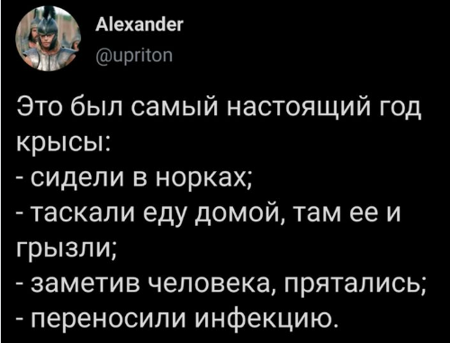 год крысы.png