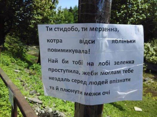 GpgvK0XIER4.jpg