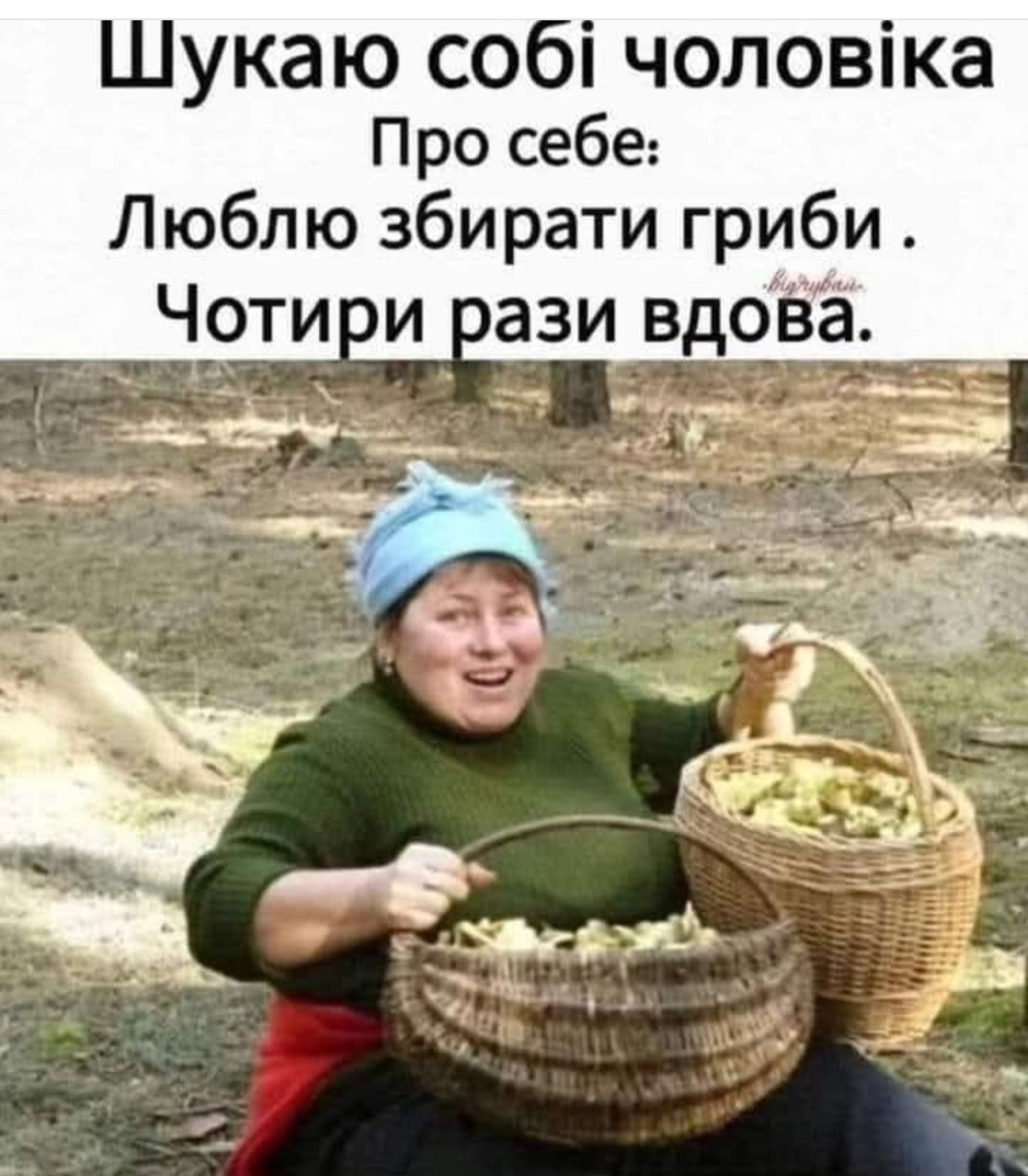 гриби.jpg
