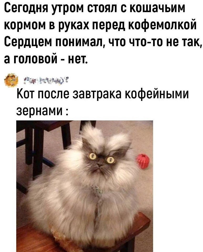 GTMdsOPXsAExbOM.jpeg
