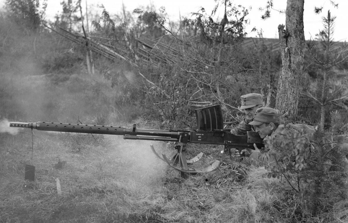 gun.jpg