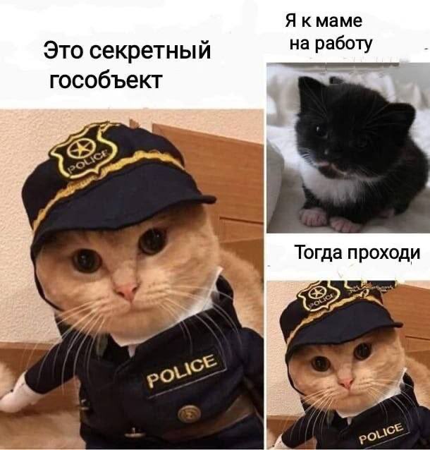 GvFHBJJWsAAC5sD.jpeg