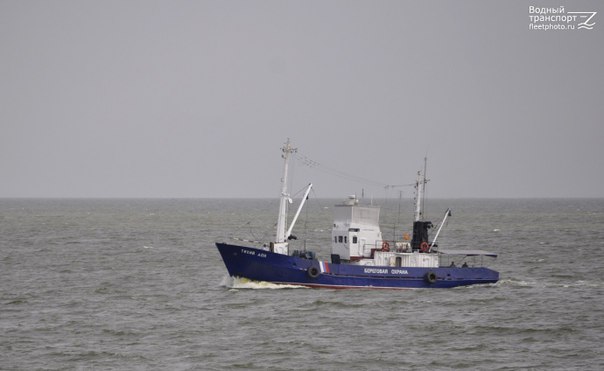 gwVaqF4vDT8.jpg