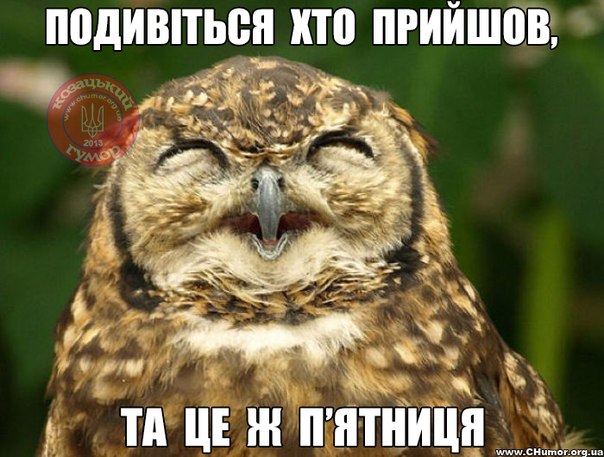 H8-Bu6w-G3A.jpg