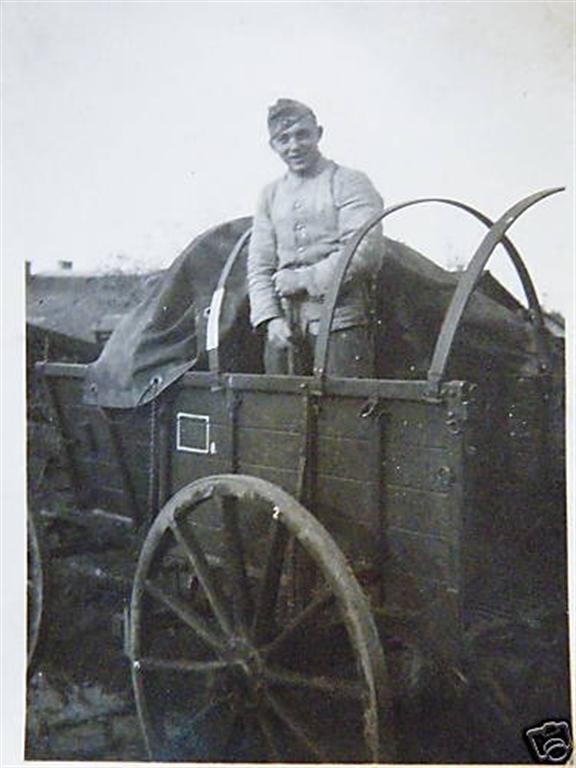 Hf horse drawn wagon (Medium).jpg