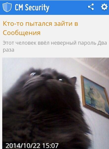 http---std3.ru-85-4a-1414090183-854a3e624a26816b241575de5b220928.jpeg