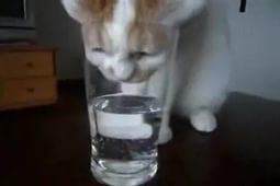 i (1).jpg