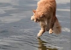 i (3).jpg