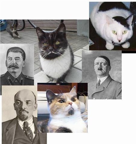 i.jpeg