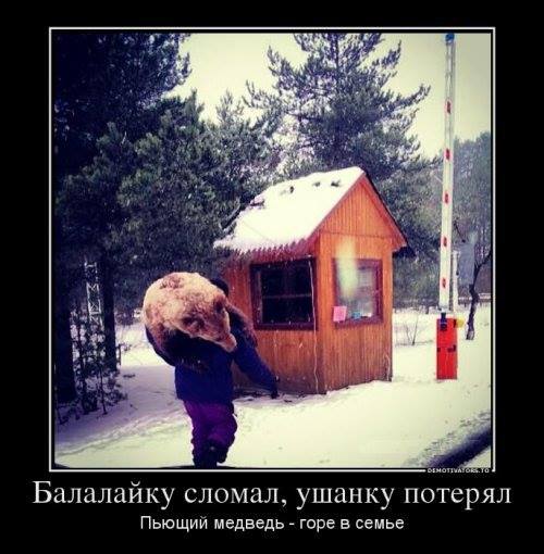 i11338^cimgpsh_orig.jpg