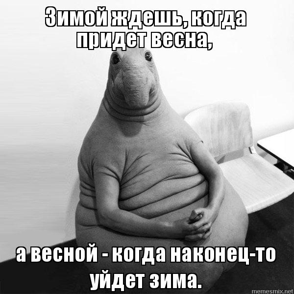 i9699g.jpg