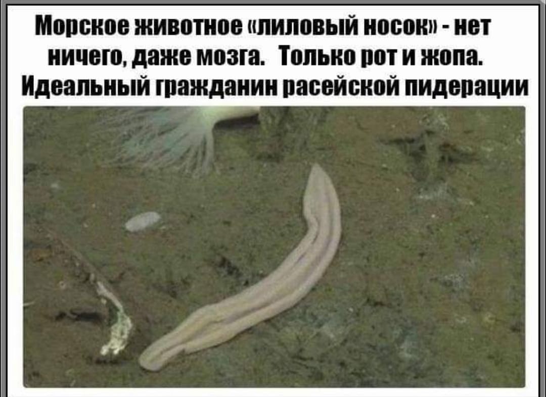 ид.jpg