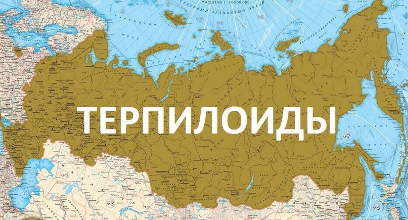 ihjvOLB0PeI.jpg