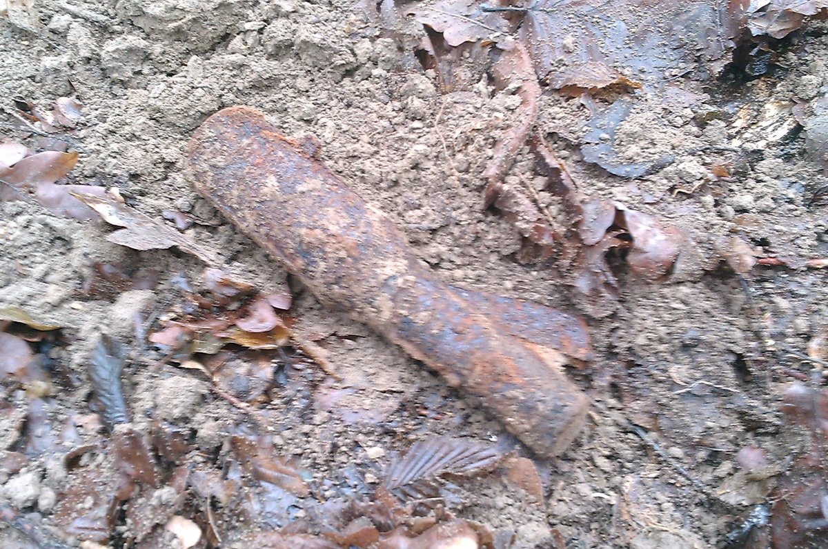 IMAG0008.jpg