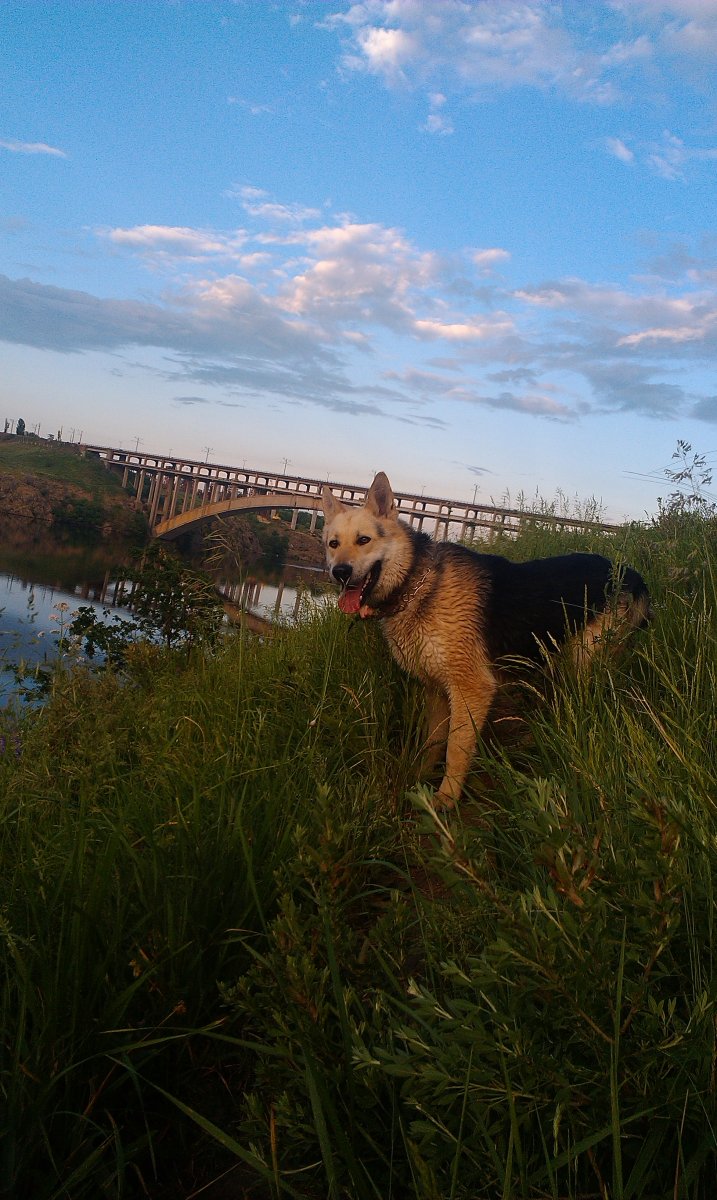 IMAG0029.jpg