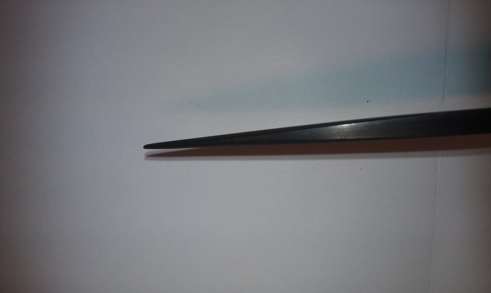 IMAG0101.jpg
