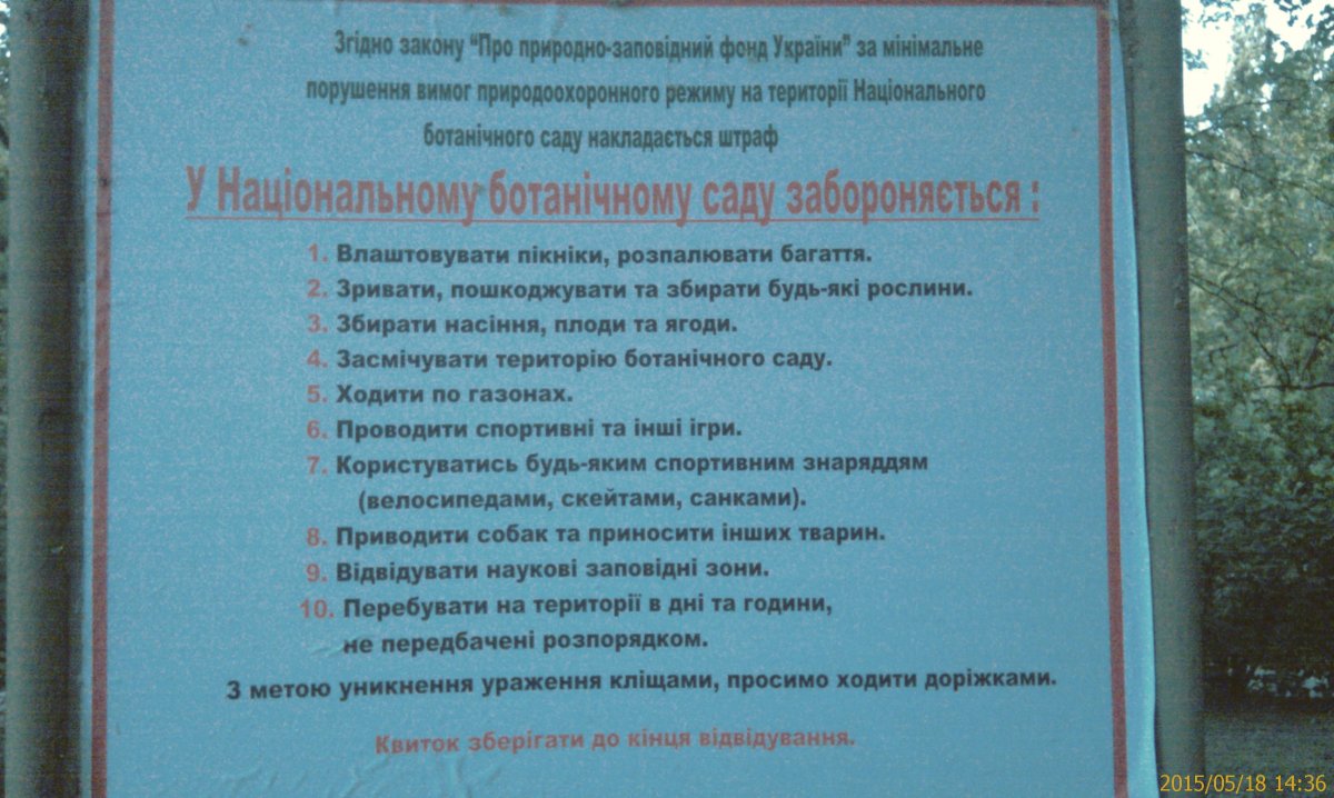 IMAG0150.jpg