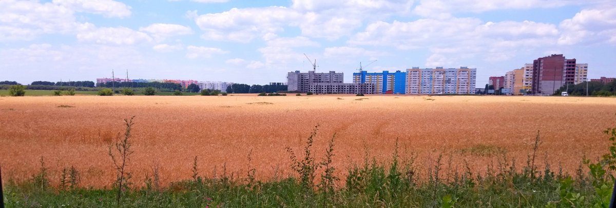 IMAG0169.jpg