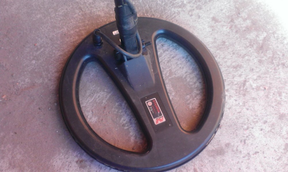 IMAG0170.jpg