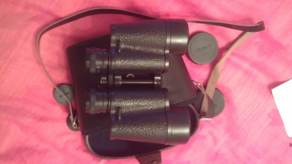 IMAG0174.jpg