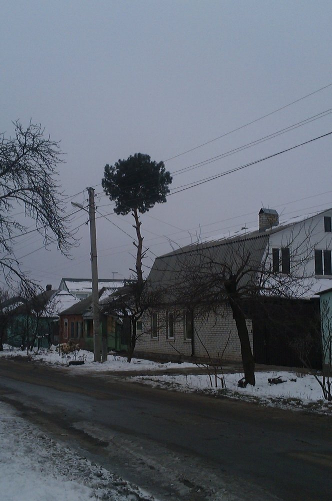 IMAG0183.jpg