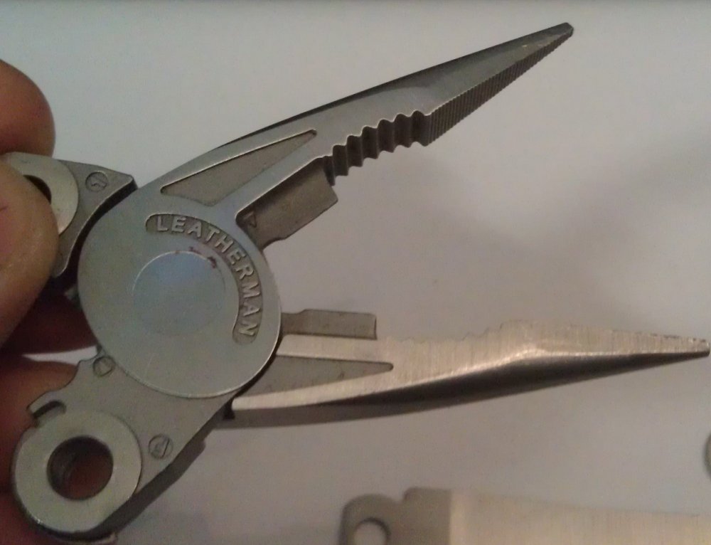 IMAG0185.jpg