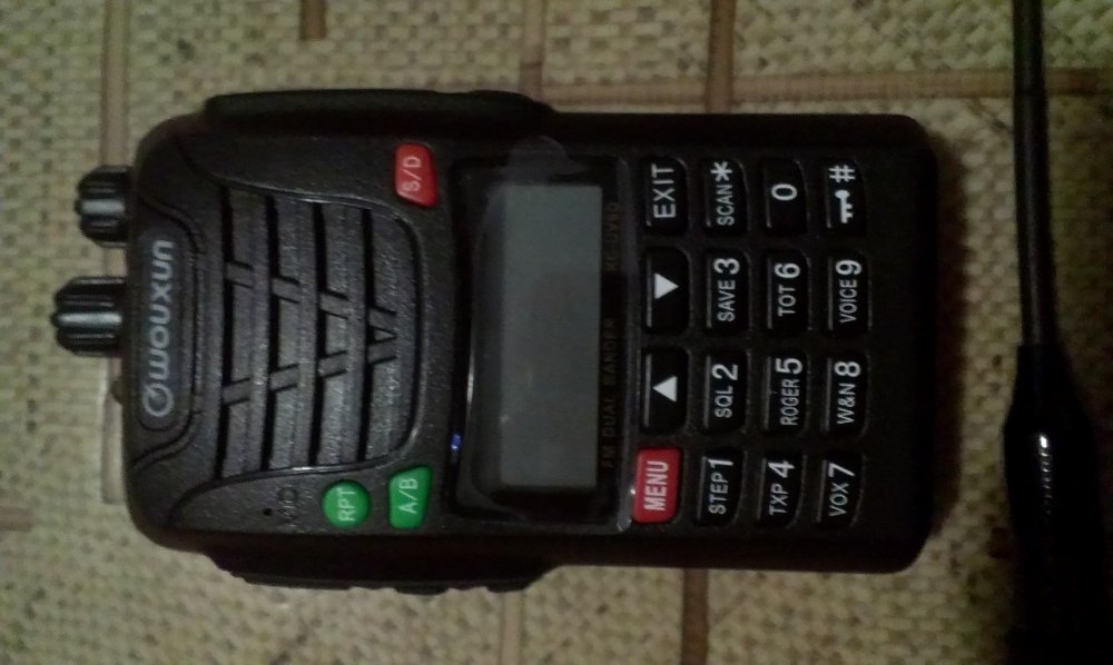 IMAG0199.jpg
