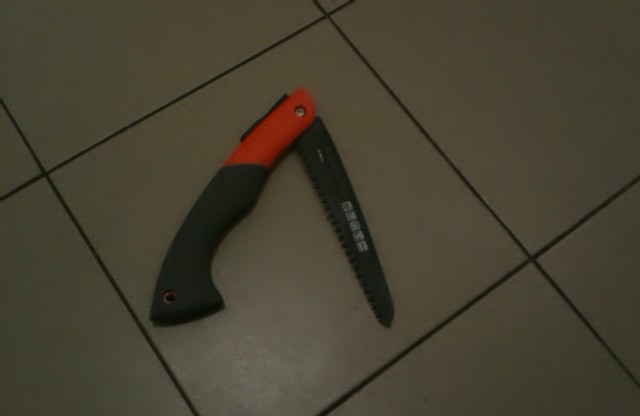 IMAG0220.jpg