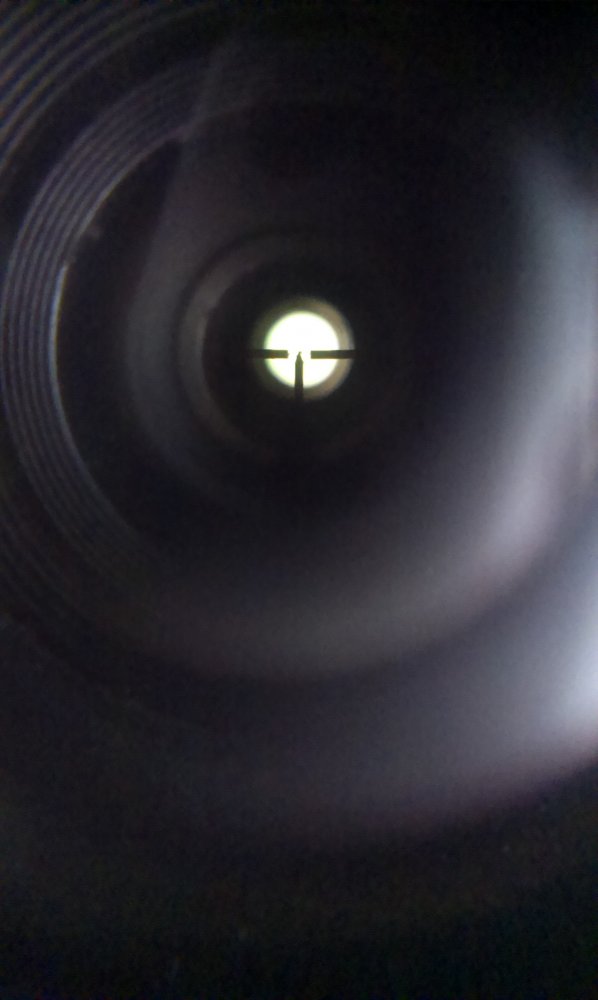 IMAG0231.jpg