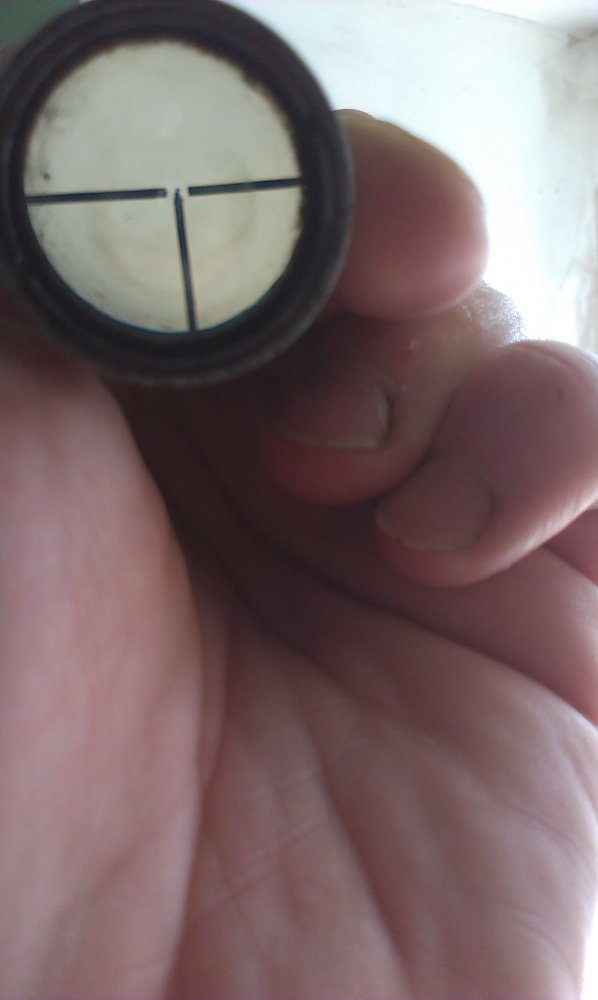 IMAG0235.jpg